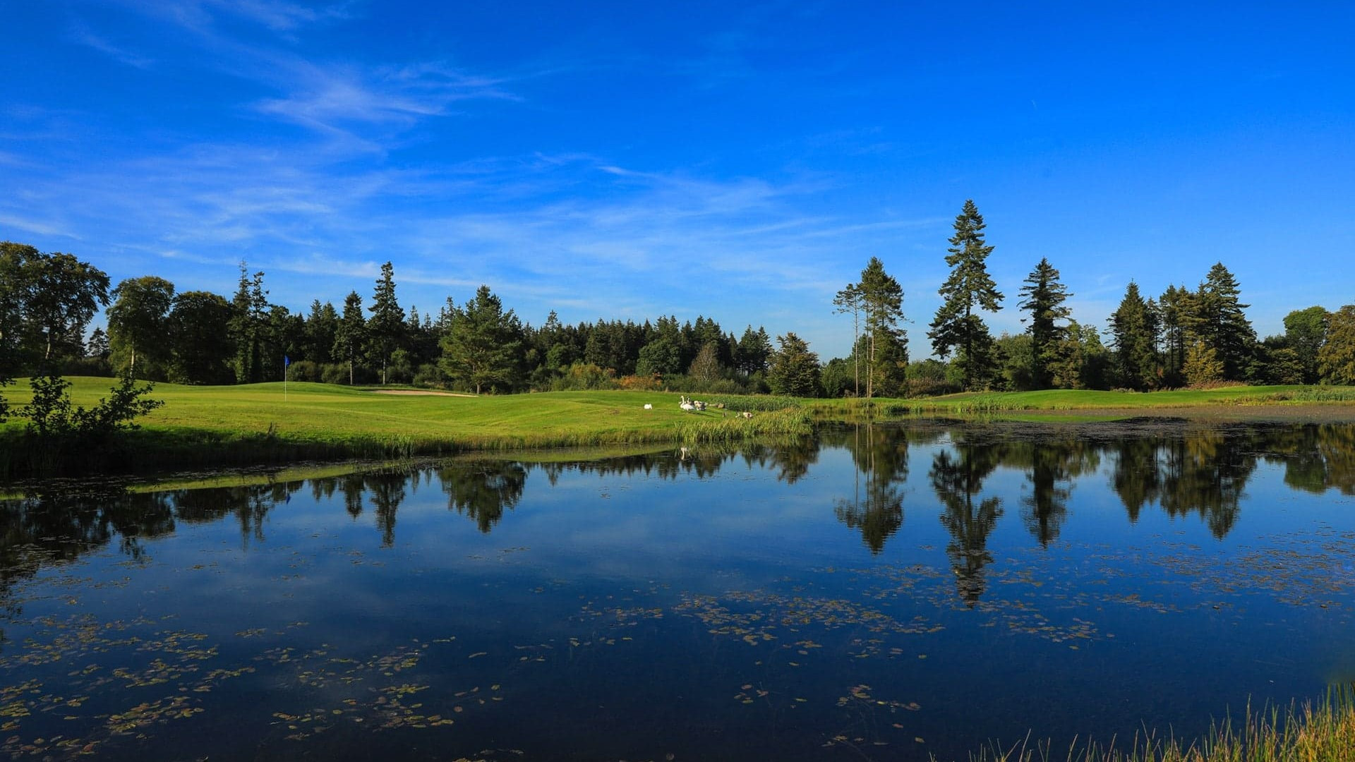 Tulfarris lake view in Wicklow   