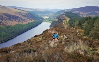 Walking in Wicklow